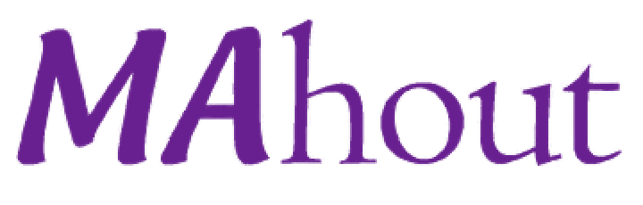 Partner 4